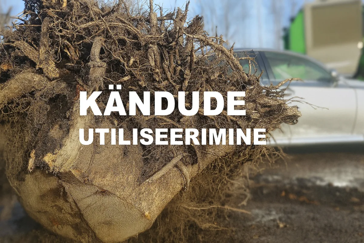 Kandude utiliseerimine asen ou tallinn
